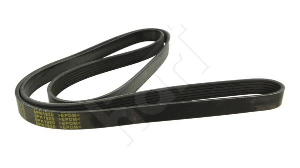 Cinghia Poly-V - 368 972 HART