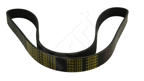 V-Ribbed Belt - 369 009 HART