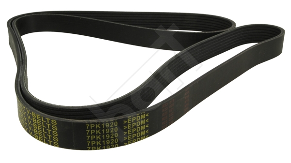 Cinghia Poly-V - 369 013 HART