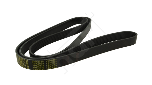 Cinghia Poly-V - 369 016 HART