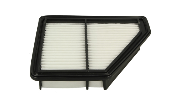 Air Filter - 915 816 HART