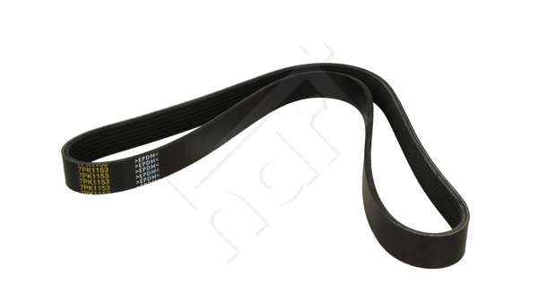 Cinghia Poly-V - 917 404 HART
