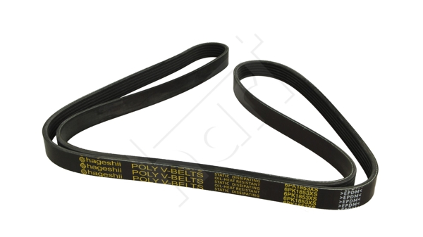 Cinghia Poly-V - 917 407 HART