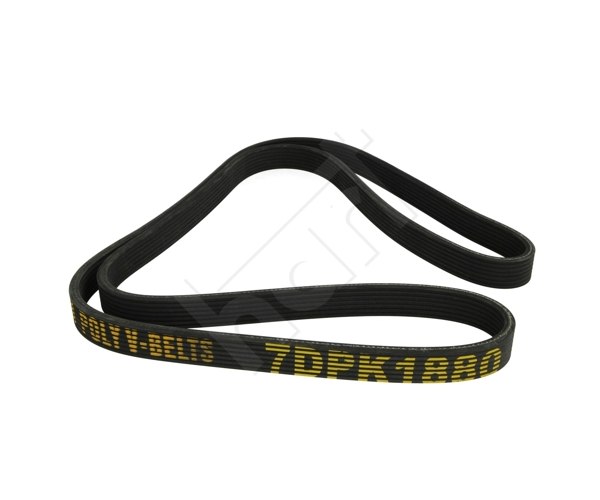V-Ribbed Belt - 917 413 HART