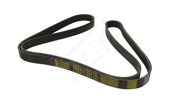 V-Ribbed Belt - 917 747 HART