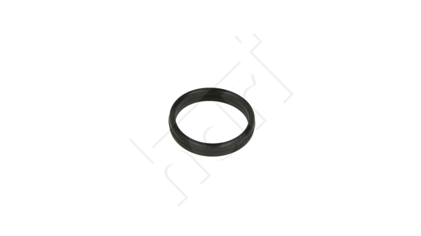 Gasket, intake manifold - 717 874 HART
