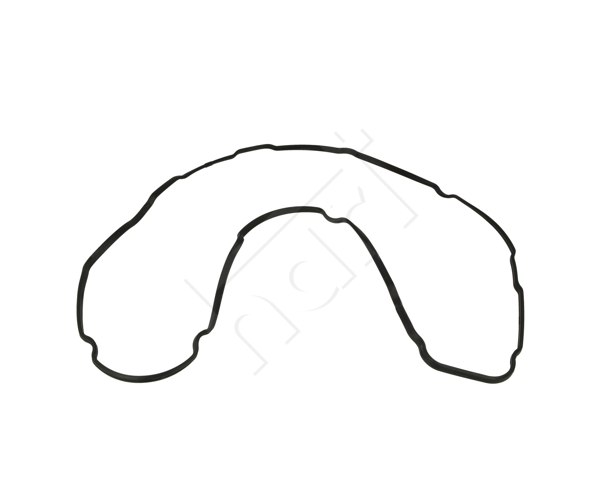 Gasket, cylinder head cover - 710 123 HART