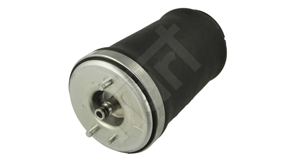 Molla pneumatica, Autotelaio - 813 024 HART