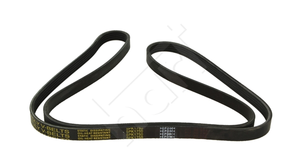 Cinghia Poly-V - 338 066 HART