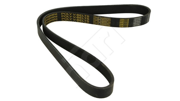 Cinghia Poly-V - 917 757 HART