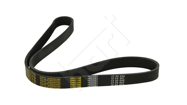 Cinghia Poly-V - 917 761 HART