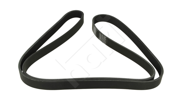 V-Ribbed Belt - 917 767 HART