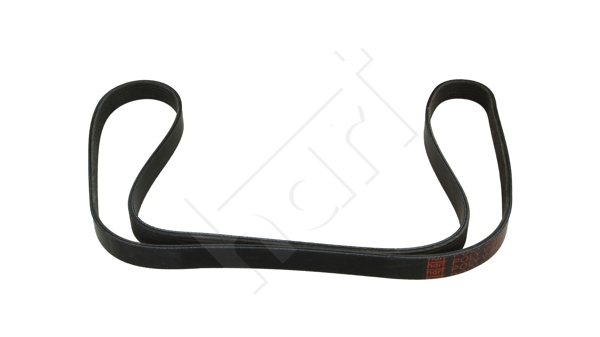 Cinghia Poly-V - 930 691 HART