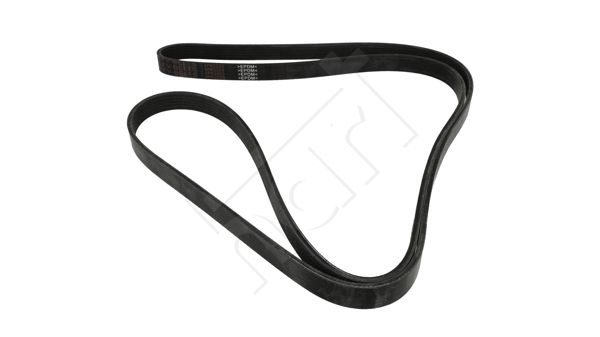 Cinghia Poly-V - 930 687 HART