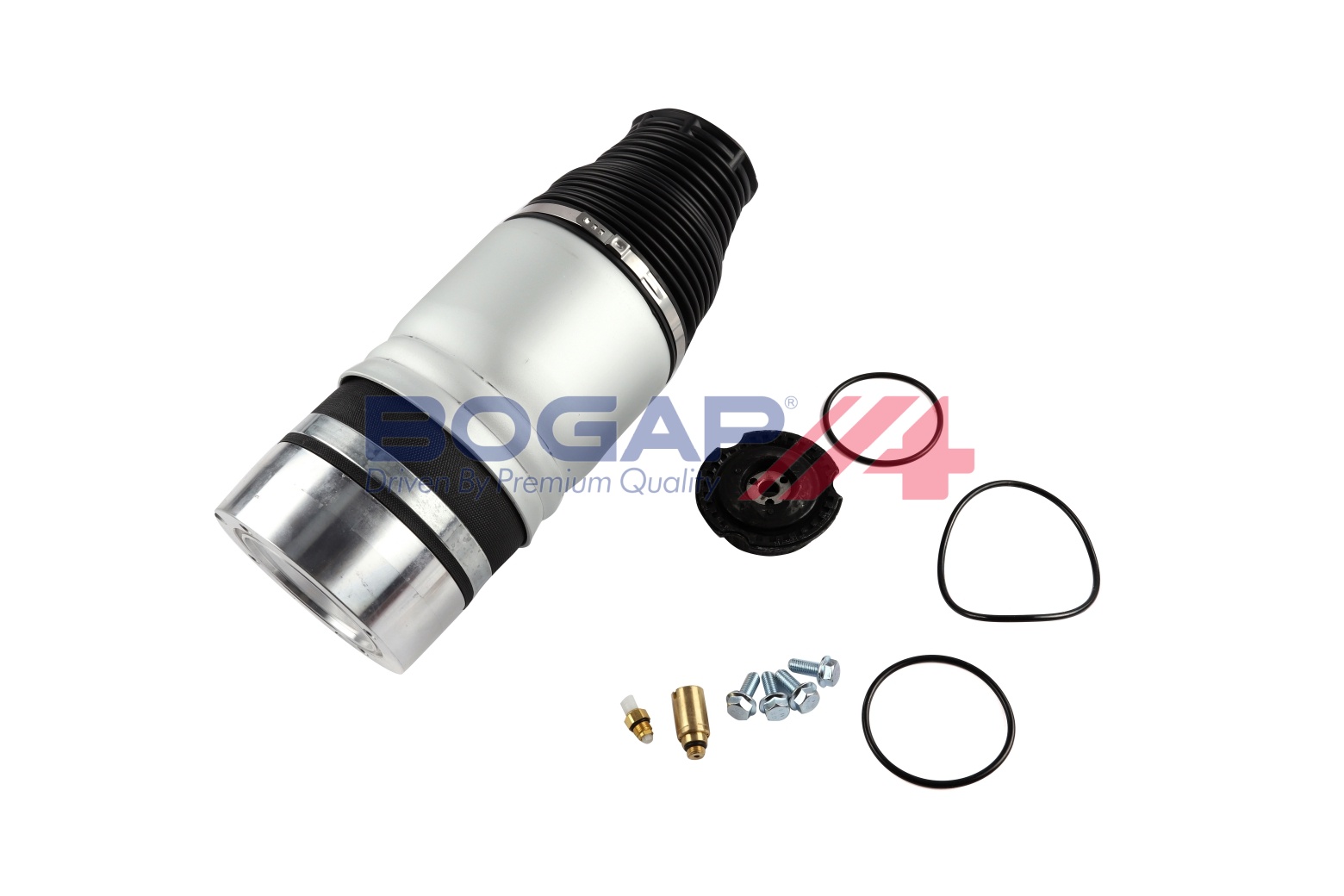 Belt Tensioner, V-ribbed belt - A1317133 BOGAP