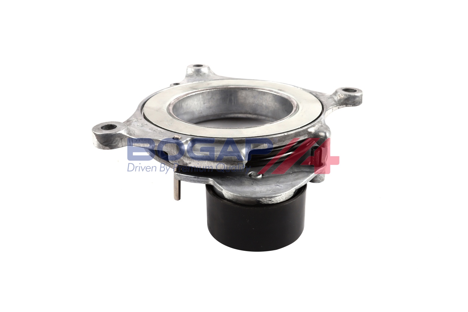 Tendicinghia, Cinghia Poly-V - B1317117 BOGAP
