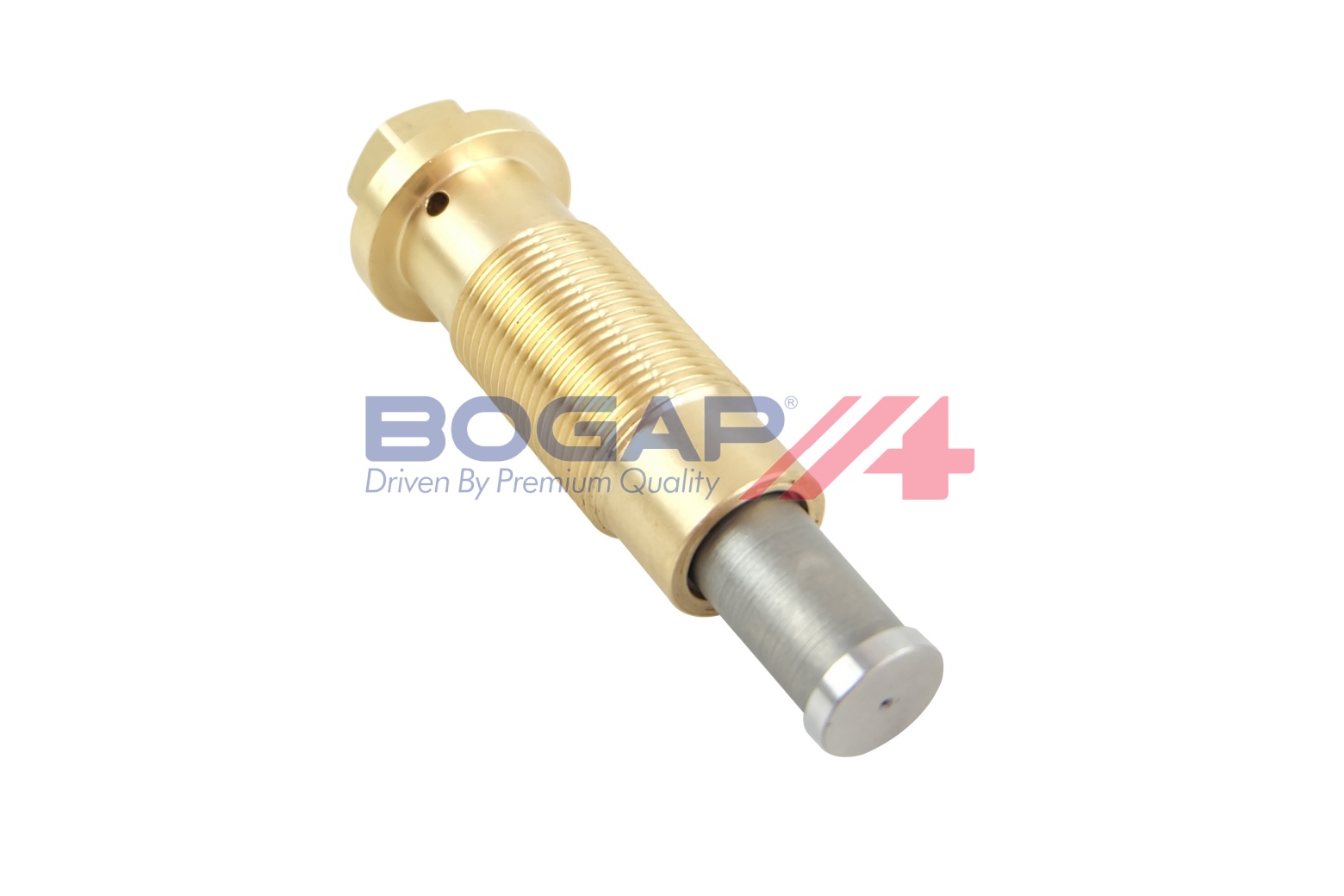 Натяжитель, цепь привода - C1312100 BOGAP