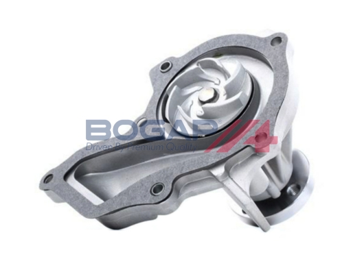 Water Pump - F4234101 BOGAP