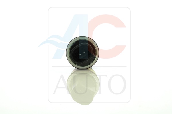 Регулирующий клапан, компрессор - AC-02DL01 ACAUTO