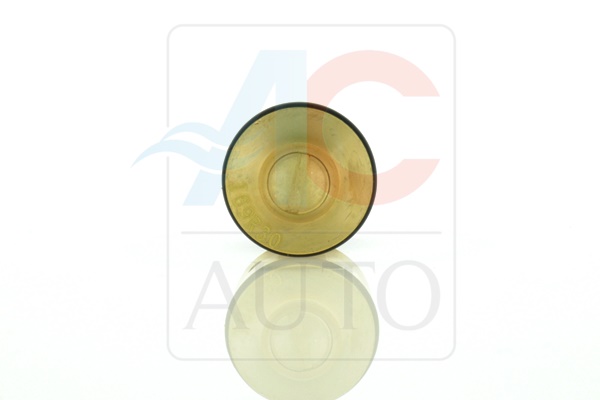 Control Valve, compressor - AC-02DN10 ACAUTO