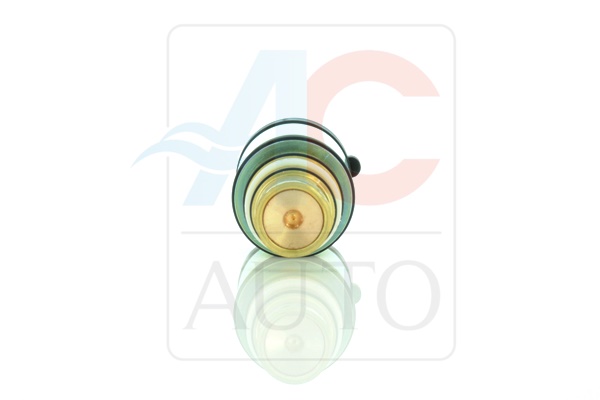 Control Valve, compressor - AC-02SD09 ACAUTO