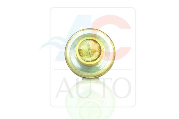 Регулирующий клапан, компрессор - AC-02VI01 ACAUTO