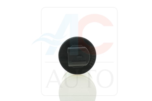 Control Valve, compressor - AC-02VI04 ACAUTO