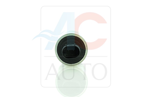 Control Valve, compressor - AC-02ZX02 ACAUTO