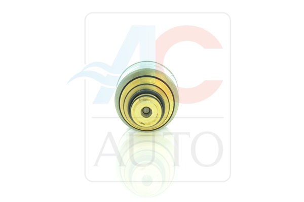 Control Valve, compressor - AC-02ZX02 ACAUTO