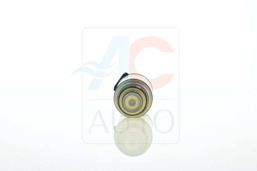 Control Valve, compressor - AC-02ZX07 ACAUTO