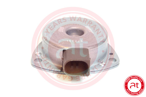Central Magnet, camshaft adjustment - AT10283 at autoteile germany