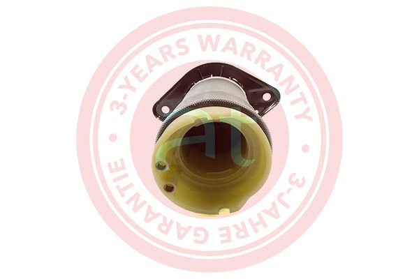 Valve, engine block breather - AT20040 at autoteile germany