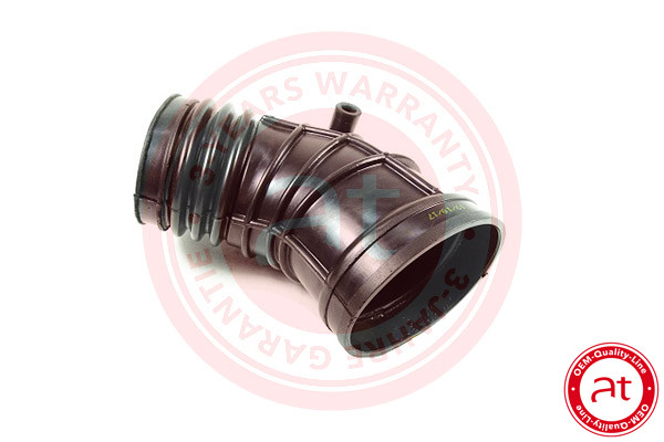 Intake Hose, air filter - AT20273 at autoteile germany