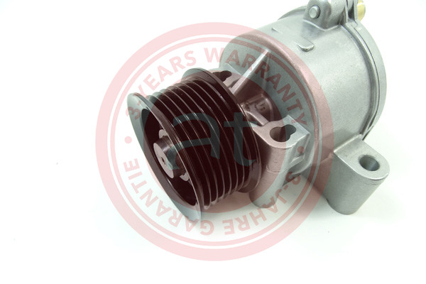 Vacuum Pump, braking system - AT22356 at autoteile germany