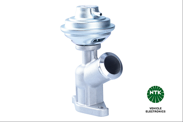 EGR Valve - 94307 NTK
