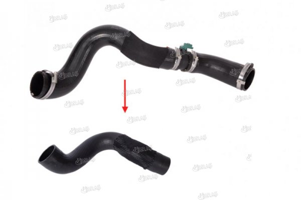 Charger Air Hose - 19559 IBRAS