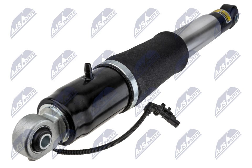 Air Spring Strut - A-CH-010 NTY
