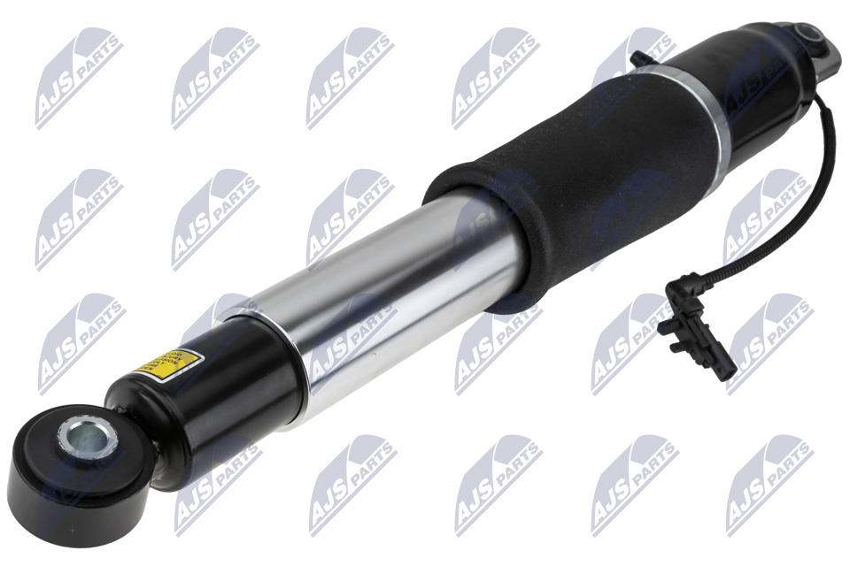 Air Spring Strut - A-CH-010 NTY