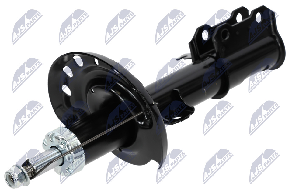 Ammortizzatore - A-PL-010 NTY