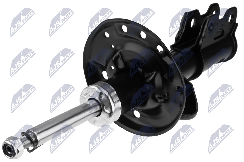 Ammortizzatore - A-PL-036 NTY