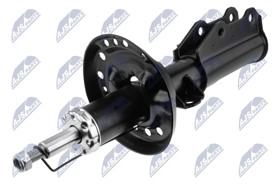 Ammortizzatore - A-PL-043 NTY