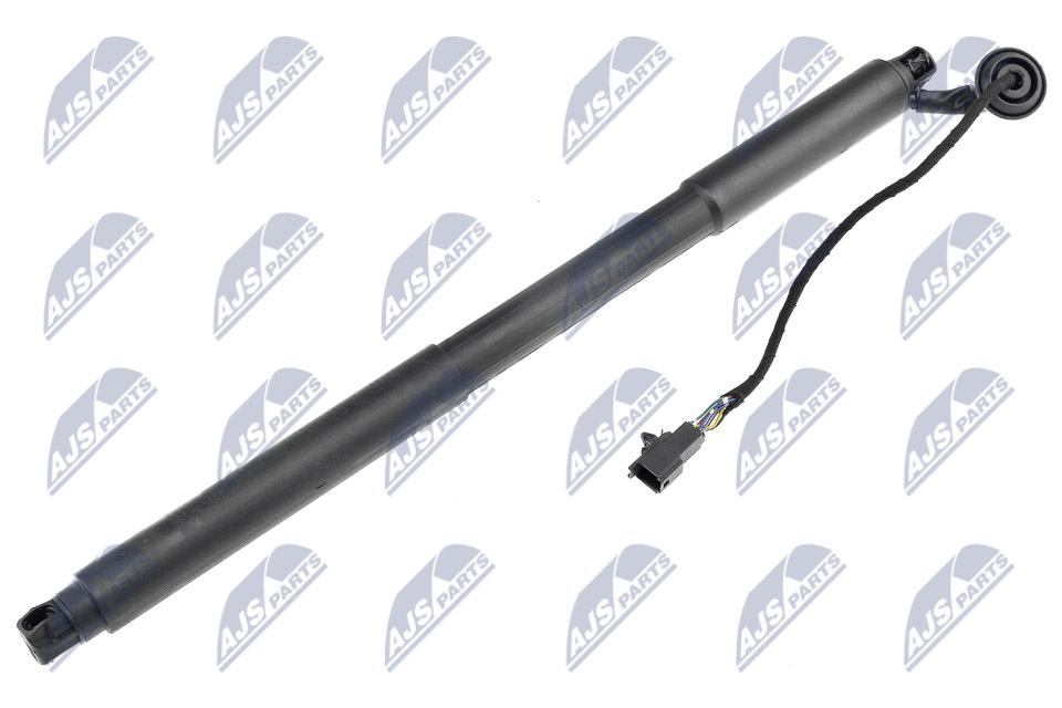 Ammortizatore pneumatico, Cofano bagagli /vano carico - AE-VV-001 NTY