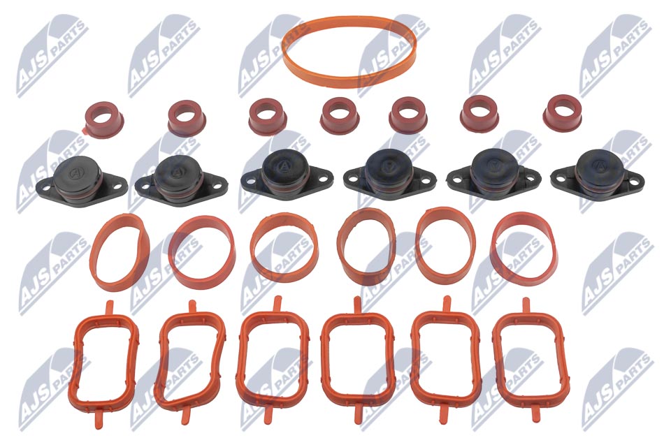Intake Manifold Module - BKS-BM-012A NTY