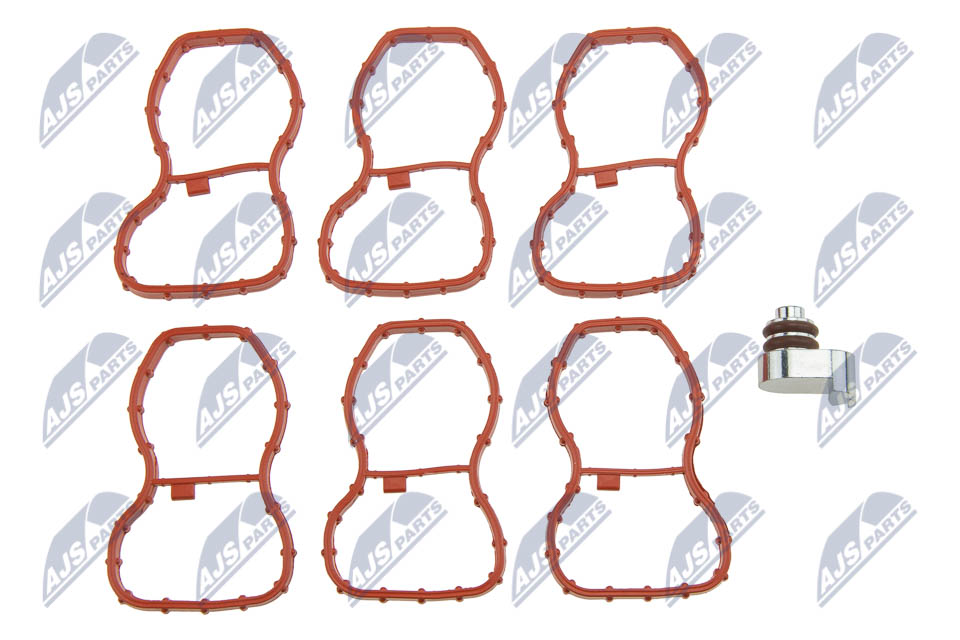 Repair Kit, intake manifold module - BKS-BM-023 NTY