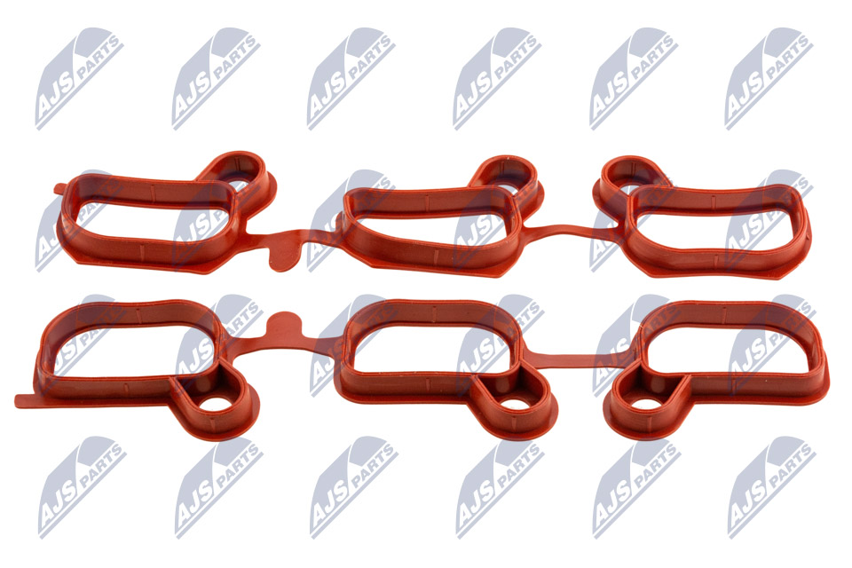 Gasket Set, intake manifold - BKS-BM-030 NTY