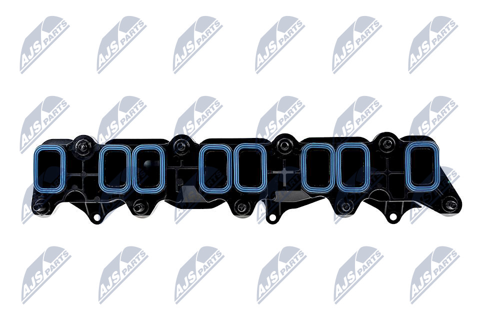 Intake Manifold Module - BKS-FR-003 NTY