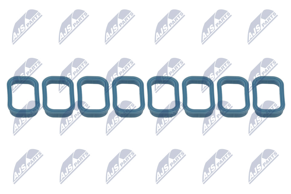 Gasket Set, intake manifold - BKS-FR-010 NTY
