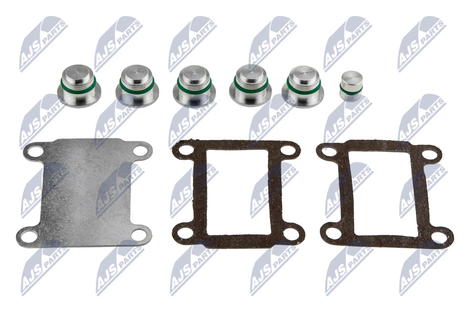 Intake Manifold Module - BKS-FT-005A NTY