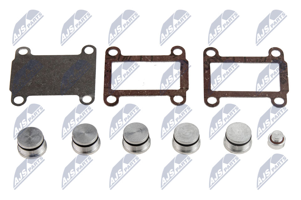 Repair Kit, intake manifold module - BKS-FT-007 NTY