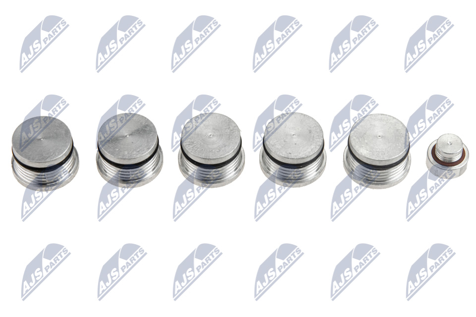 Repair Kit, intake manifold module - BKS-FT-008 NTY